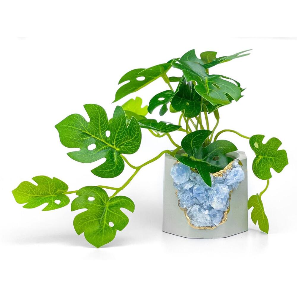 Succulent Crystal Planter | Geode Planter | Raw Blue Calcite - Picture 4 of 9